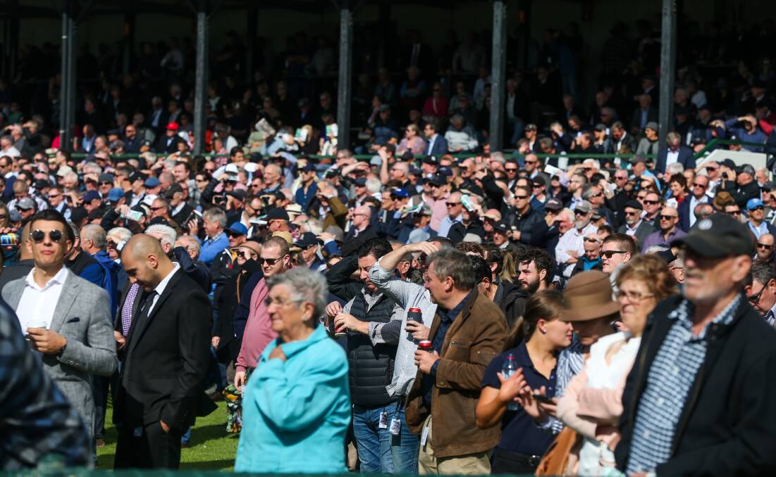 Punters: May Racing Carnival crowds enjoy the quality fields at Warrnambool on Tuesday. Picture: Rob Gunstone