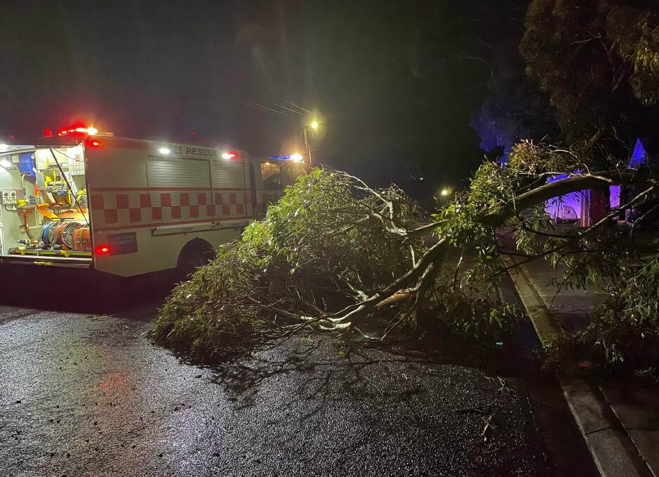 Warrnambool SES volunteers help to remove a fallen tree from the road overnight Wednesday. Picture supplied