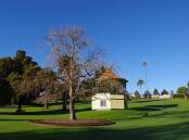 Stunning: The Warrnambool Botanic Gardens Friends of the Gardens is hosting a range of activities on Sunday as part of the National Trust of Australia's Heritage Week.