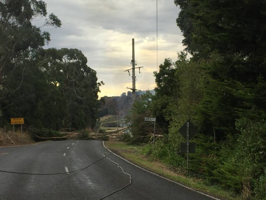 Lucky: A Warrnambool woman averted a disaster on Sunday when a falling tree caused powerlines to come down in front of her sparking a fire in the Glenfyne area. She said the situation could have been a lot worse. 