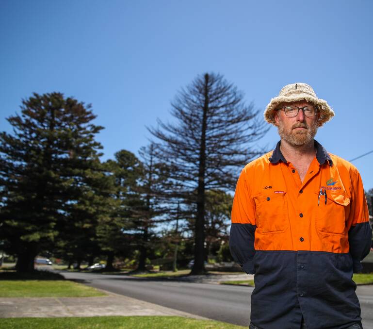 Selfish act: Team leader John Sheely says the poisoning of two more Norfolk Island pine trees is brazen and will be reported to police. Picture: Morgan Hancock