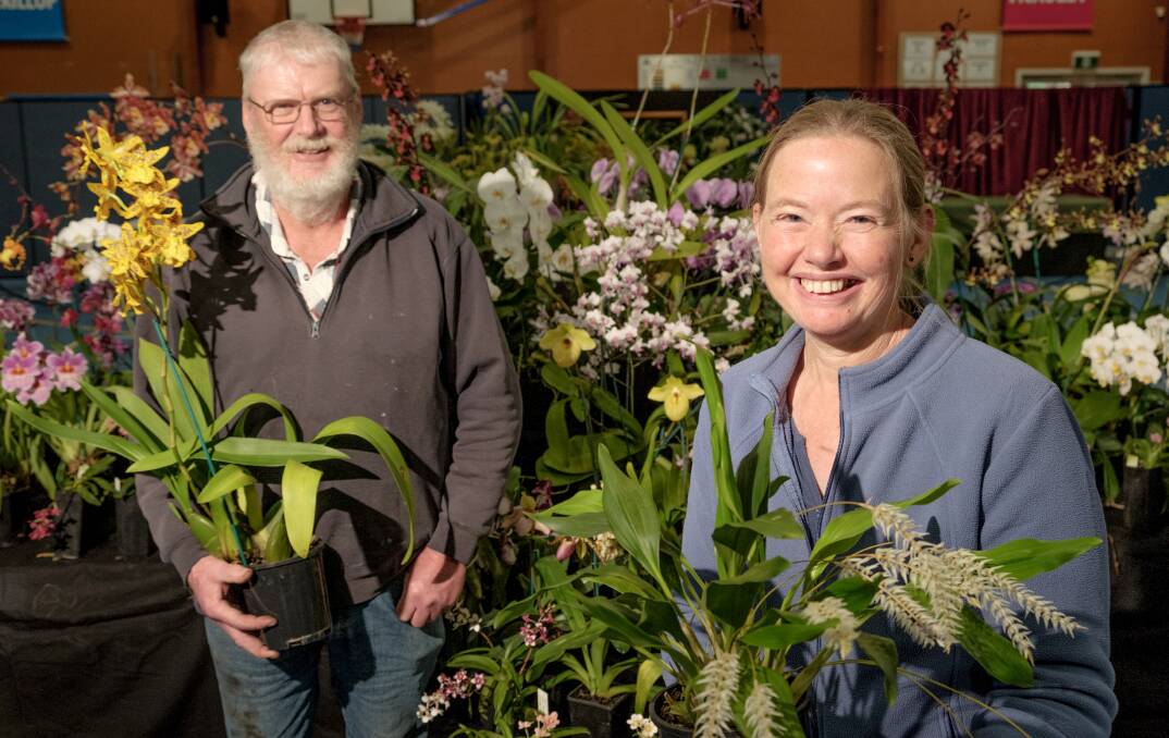 Warrnambool and District Orchid Show exhibitors Michael and Bernadette Matthews who grow their orchids in their purpose-built hydraulic hothouse. Picture: Chris Doheny