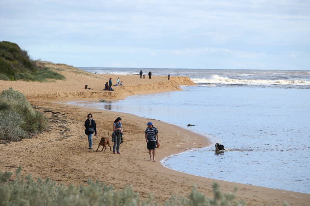 Active: Residents need to be aware of the dogs on beaches restrictions, many of which begin this month and prohibit dogs from popular areas during the peak summer period. For more information go to the Moyne Shire and Warrnambool City Council websites.