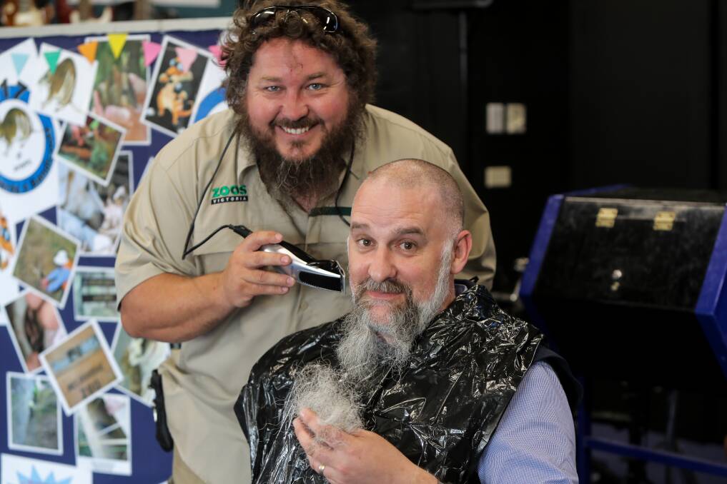 Hairy time: Zoos Victoria guardian dog program co-ordinator Dave Williams shaves off Warrnambool West Primary School principal Phil Barnes' beard which raised $1200 for eastern barred bandicoots. Picture: Rob Gunstone