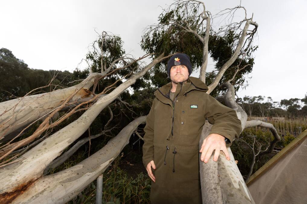 South West Advanced Trees owner David Winters estimated the damage bill after Friday's severe weather event would be between $10,000 and $15,000. Picture Sean McKenna