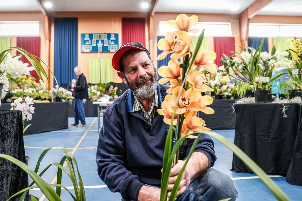 Colour: Camperdown's Willy Hawker prepares for this weekend's orchid show in Warrnambool which includes workshops and demonstrations. Picture: Christine Ansorge

