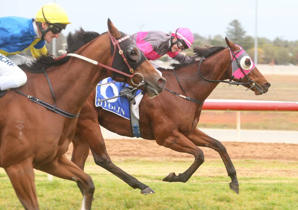 BACK ON TRACK: Inn Keeper, ridden by Linda Meech, won the Golden Topaz at Swan Hill Racecourse in June and has since had a spell in the paddock. Picture: Pat Scala/Racing Photos
