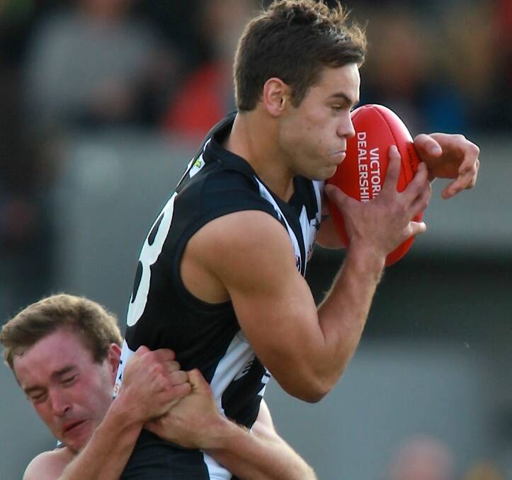 MAGPIE ARMY: Lifelong Collingwood fan Ben Moloney will play his 50th VFL game on Saturday against Footscray. 