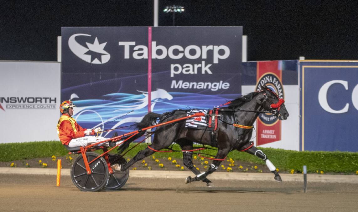 RACE IS ON: Jilliby Nitro, driven by Terangs Glen Craven, winning the New South Wales Breeders Challenge semi-final at Menangle on Saturday. Picture: Ashlea Brennan Photography 