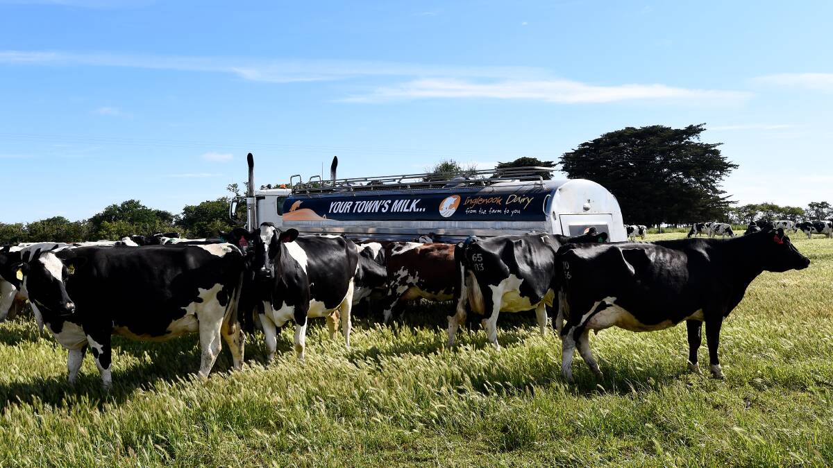 Nation records big lift in dairy confidence after one of the best seasons on record