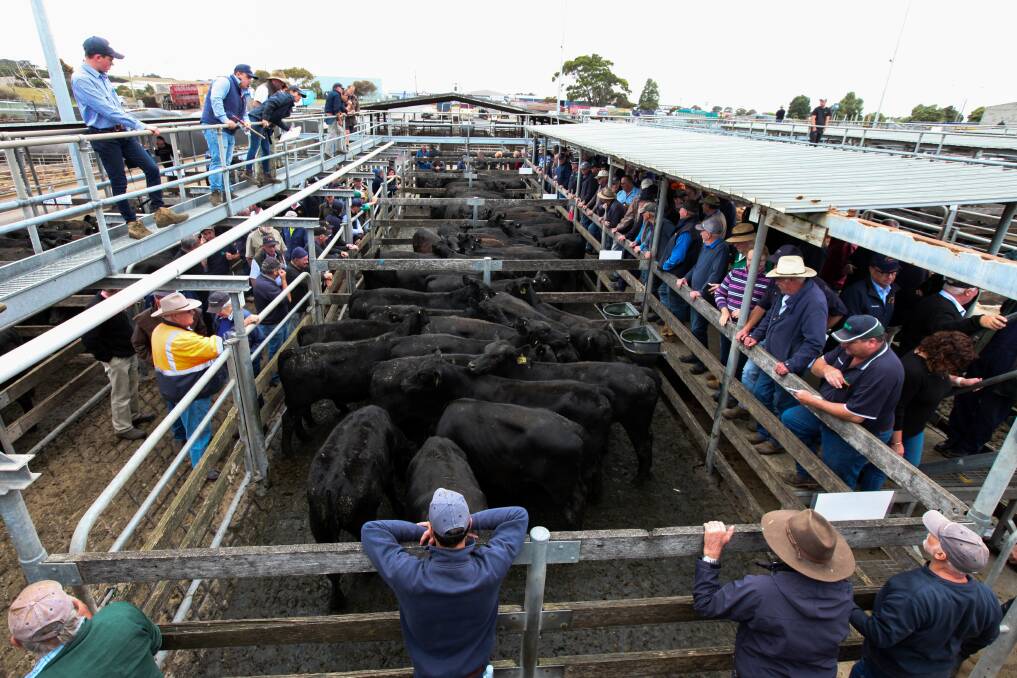 Letters: Why the beef over saleyards? Prompt action needed immediately