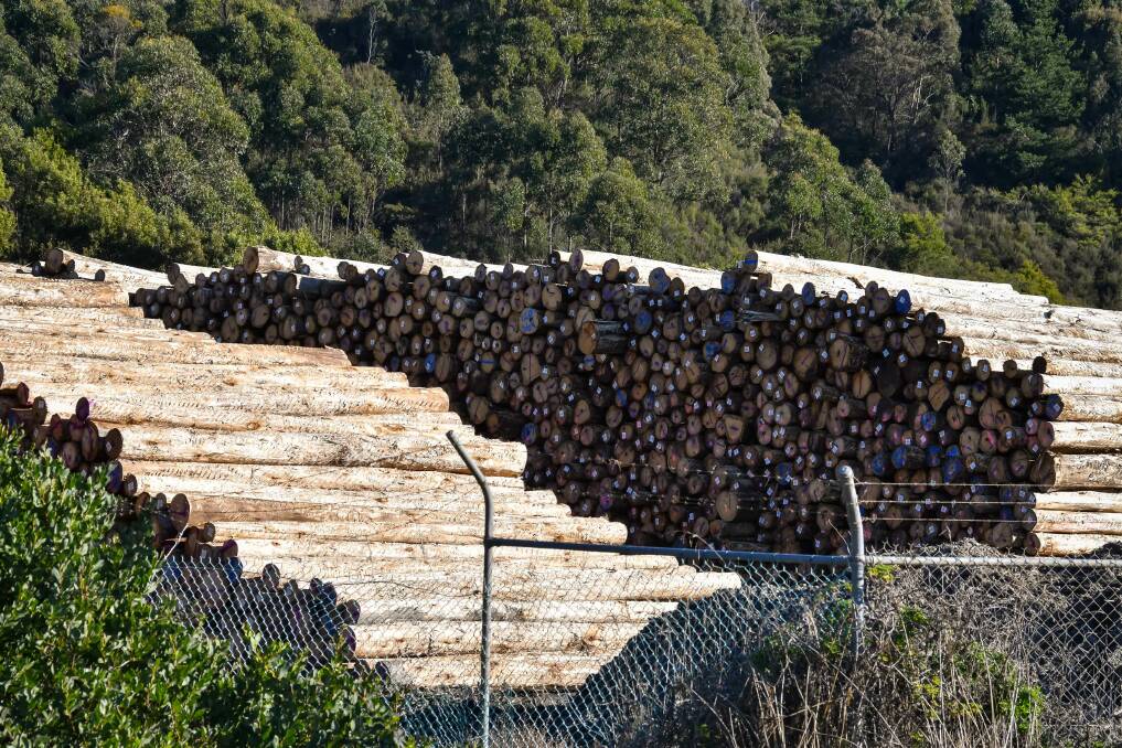 Ending native forest logging will have many positive effects, according to this letter-writer. Picture by Simon Sturzaker