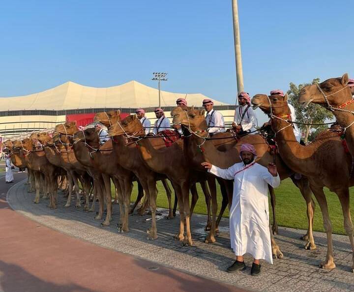 Outside the Al Bayt Stadium before the opening ceremony of the FIFA World Cup 2022 in Qatar.