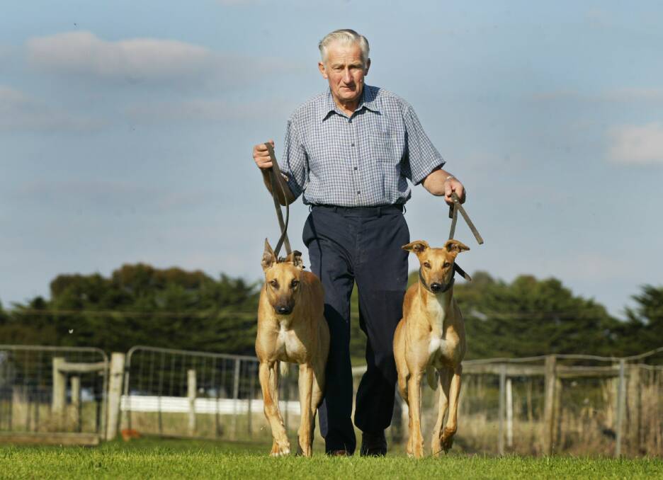 UP FOR IT: Warrnambool greyhound trainer Norm McCullagh with two of his 2006 Warrnambool Classic hopefuls: Classy Rhode and Dusty Rhode. 