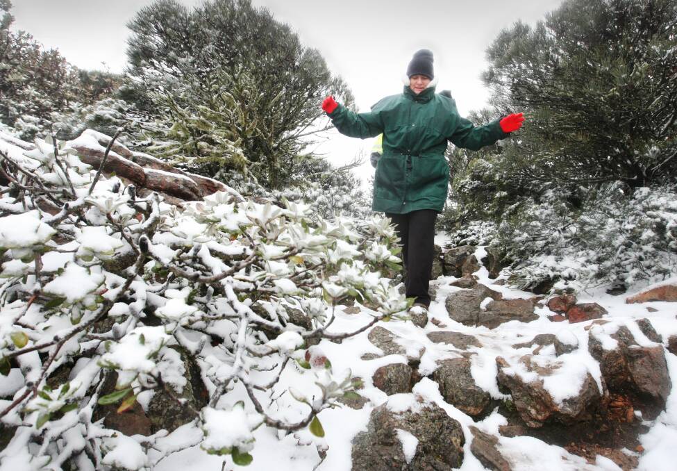 Mount Gambier's Kate Sedman pictured in 2015 at Mount William. Snow is now falling again. 