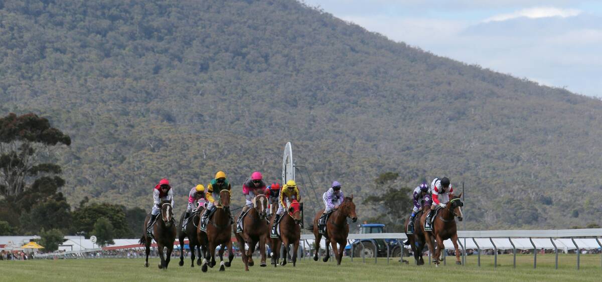 Giddy-up: The much-loved Dunkeld Cup is back on Saturday.