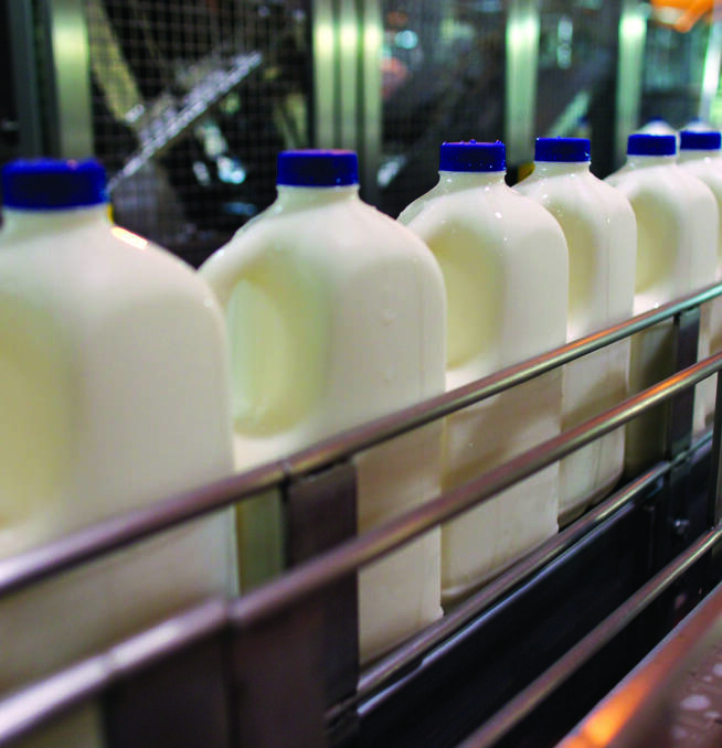 Price rises: Rises in global dairy prices aren't expected to continue.