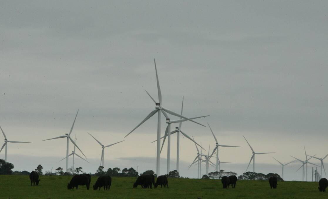 Opponents of more wind farms in Moyne Shire are saying 419 turbines across 10 farms are enough.