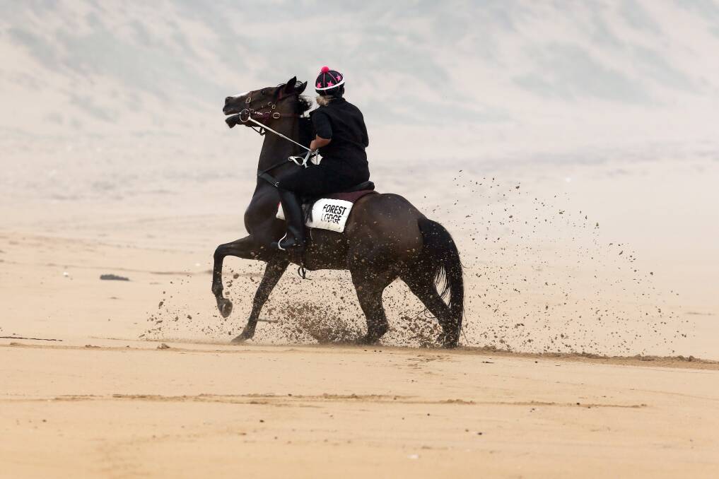 2015 Melbourne Cup winner Prince of Penzance in the sand near Levy's Point, Warrnambool. Picture: Rob Gunstone
