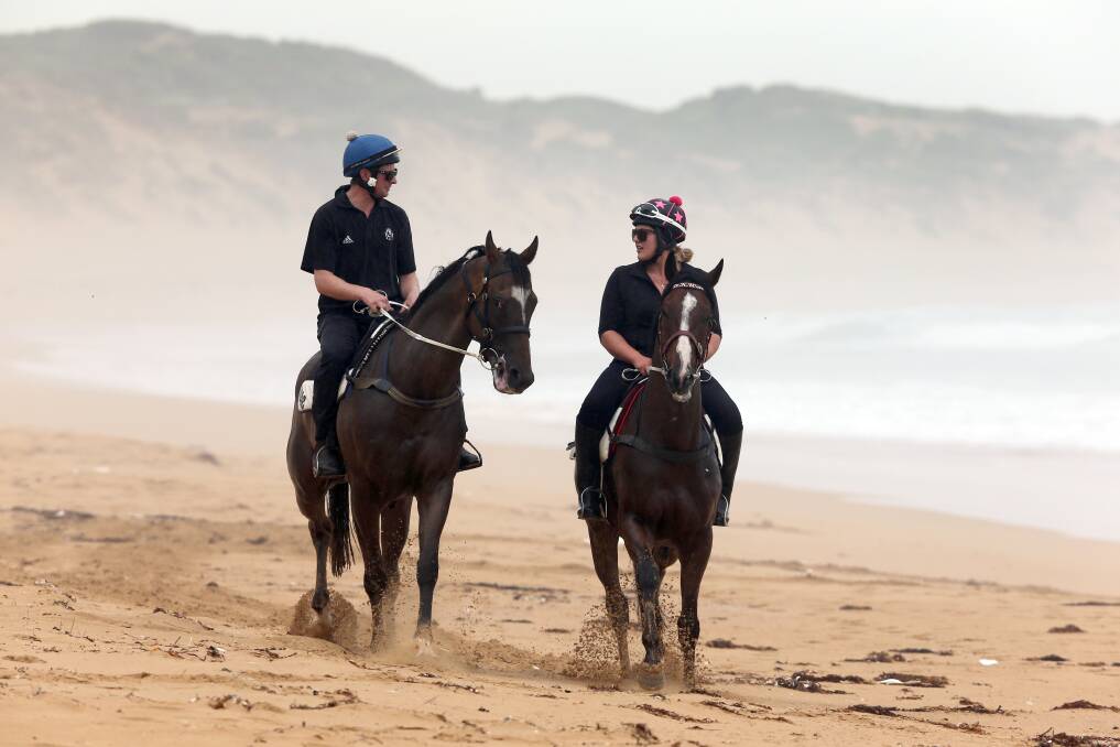 SANDSTORM: Melbourne Cup winner Prince of Penzance (right) at Levy's Point beach in 2015. Warrnambool City Council has received legal advice that commercial horse training in the area is illegal. Picture: Rob Gunstone     