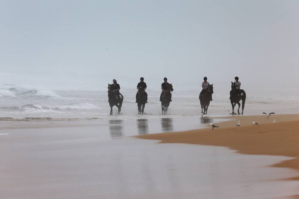 Racehorses trained by Darren Weir walk along the Levys Point beach at Warrnambool as the rain closes in. Picture: Rob Gunstone