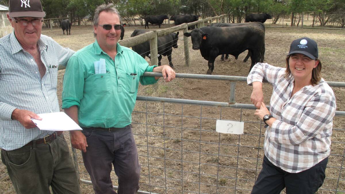 Beef Week: Wendy Kelly will have Barwidgee Angus at Caramut open on Saturday for Day Eight of the 2019 Beef Week. 