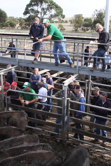Competing: Warrnambool stock agents say the Warrnambool saleyards is holding firm against increased competition. 