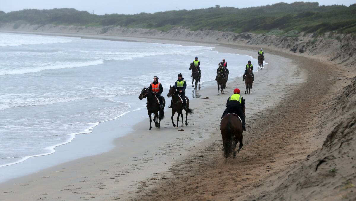 SAFETY FEARS: Warrnambool's Monique Ferrier believes there should be more monitoring of horses on Lady Bay beach. Picture: Rob Gunstone