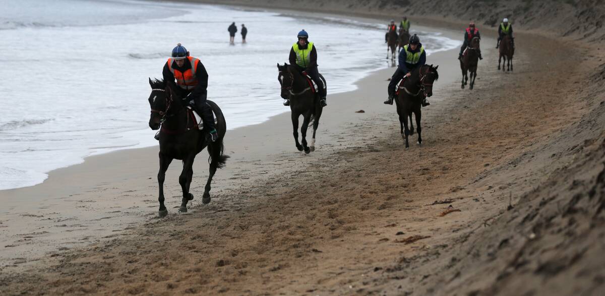 Galloping on: The issue of horses on beaches dominates discussions this week.