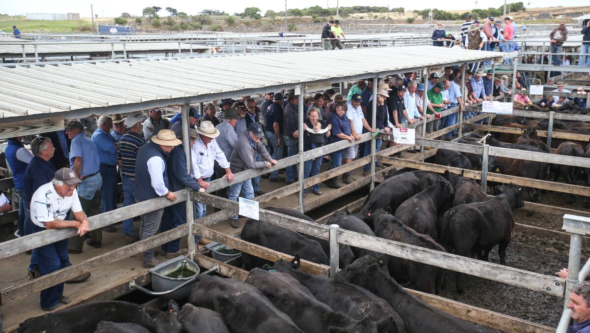 Easing: The strong demand for beef could soften in the remainder of this year with production on the rise, according to Meat & Livestock Australia.