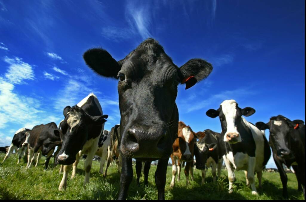 Fonterra releases opening milk price