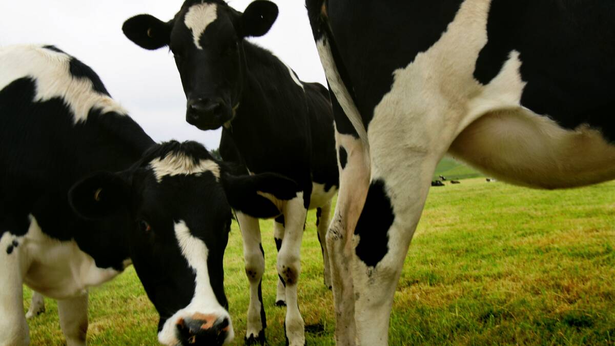 The Farmers' Fund milk scheme, which operates at Coles supermarkets, has come in for criticism from some dairy farmers.