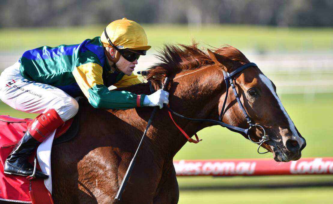 PLANS CHANGE: Peter Chow-trained Lord Tennyson, pictured at Sandown last month, won't compete at Caulfield this weekend as planned. Picture: Getty Images