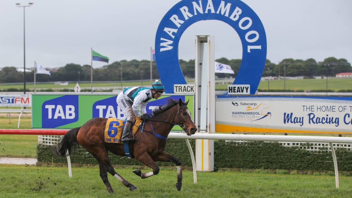 CHARGED: Paul Hamblin, leading Hornets' Nest to the winners post during the $100,000 Kevin Lafferty Hurdle, will face a Victoria Racing Tribunal hearing on October 21. Picture: Morgan Hancock