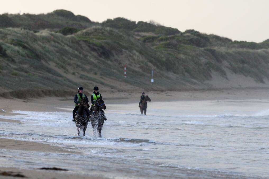 Government proposal would allow horses back on beaches | Have your say