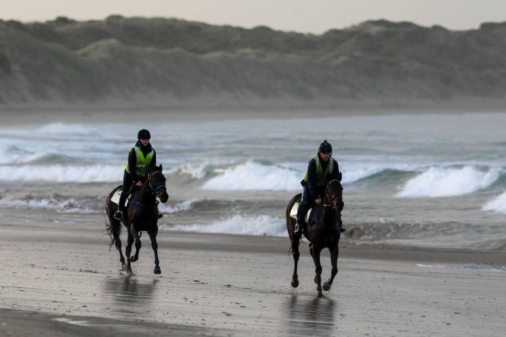 Horses training at Golfies (at the eastern end of Port Fairy's East Beach) near the Port Fairy Golf Course on Wednesday. Picture: Rob Gunstone