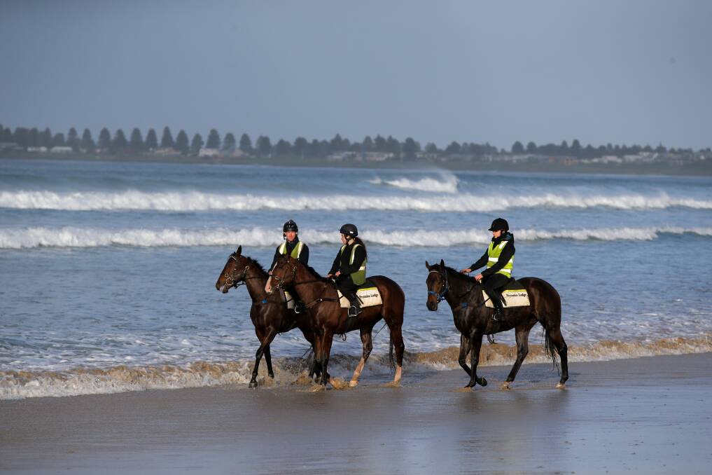Riders from Mitch Freedman stables train horses along Port Fairy's East Beach near the Golf Course. Picture: Rob Gunstone