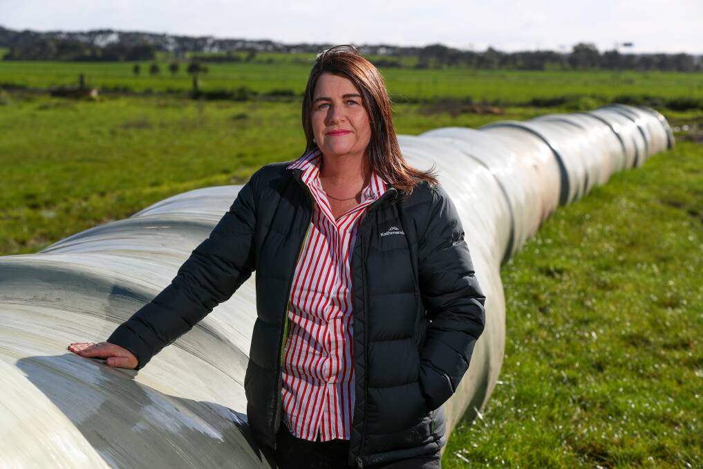 Dairy farmer and Member for South West Coast Roma Britnell. Picture: Rob Gunstone