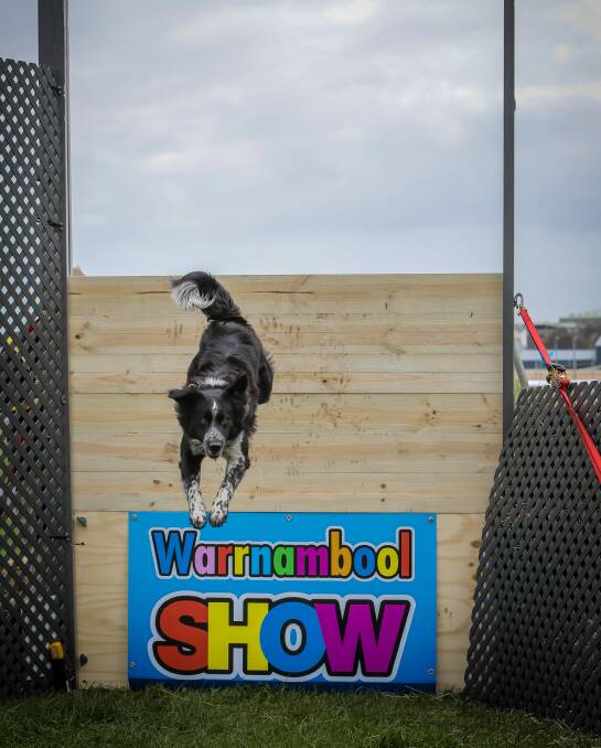 Show-off: The Warrnambool Show is set to shine in a new look one-day Big Show Day event at the showgrounds on Koroit Street from 9am to 10pm on Saturday. Picture: Christine Ansorge