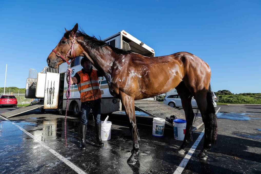 SCRUB-A-DUB: A horse is washed down after exercising at Warrnambool's main beach. A new council vote will be held on such arrangements. Picture: Rob Gunstone