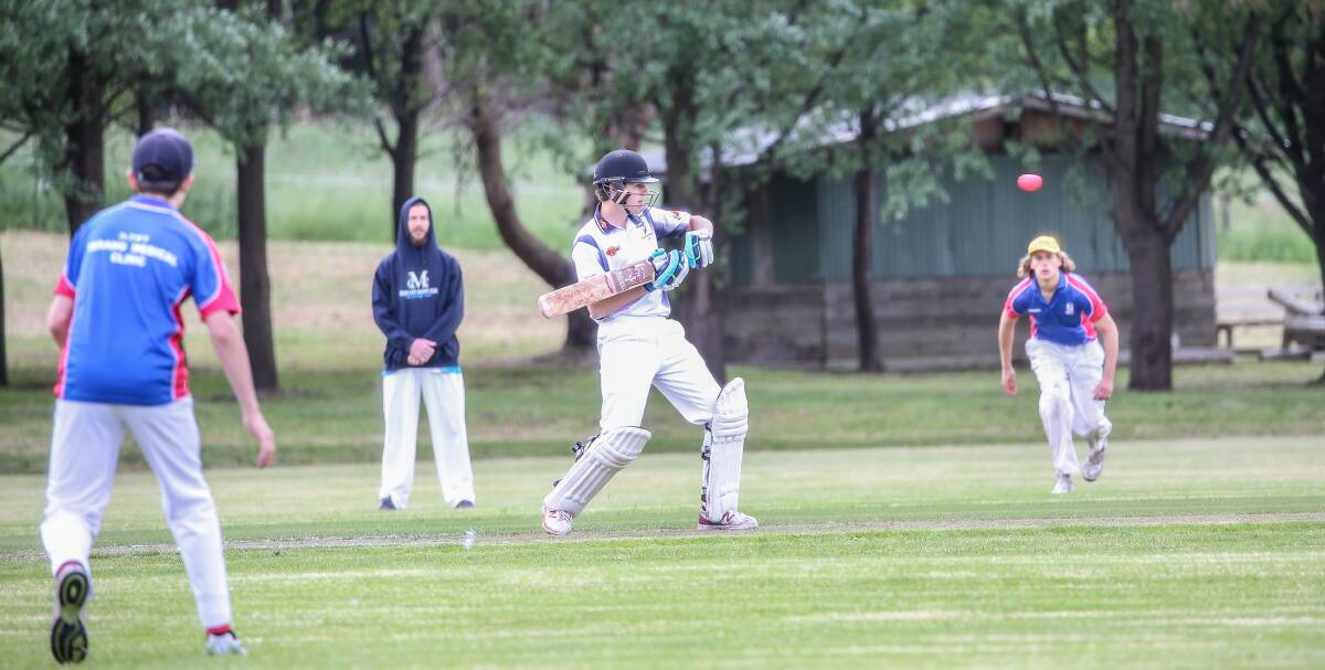 HALF CENTURY: Mortlake batsman Isaac Wareham is making his mark at South West Cricket level. He scored 59 not out against the Cats. Picture: Christine Ansorge