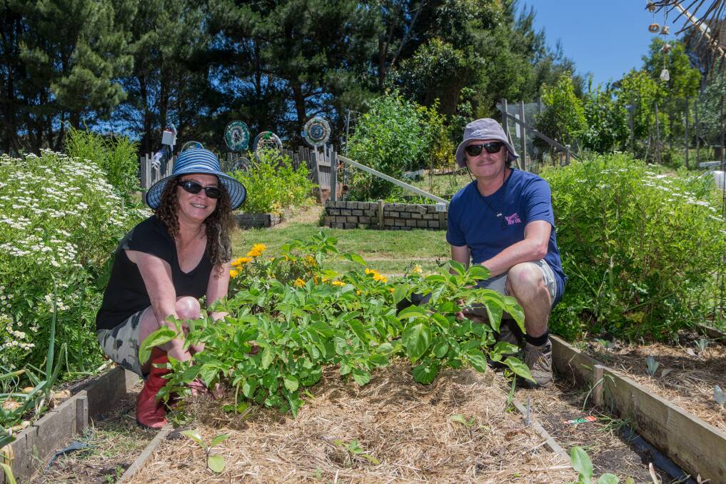 Green thumbs: The Warrnambool Community Garden are offering workshops in herbs and their uses on Sunday from 10.30am to 12.30pm. Picture: Christine Ansorge