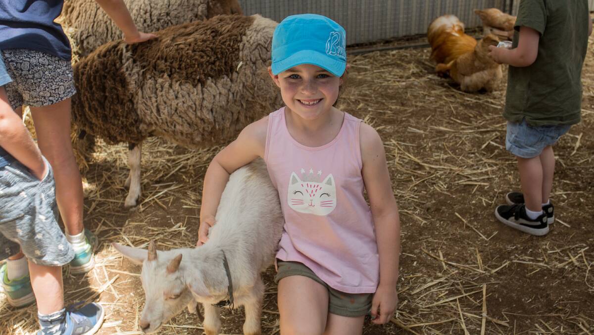 Kid and Kid: Adele McNamara, 7, enjoys some time with a goat at the show's animal nursery.