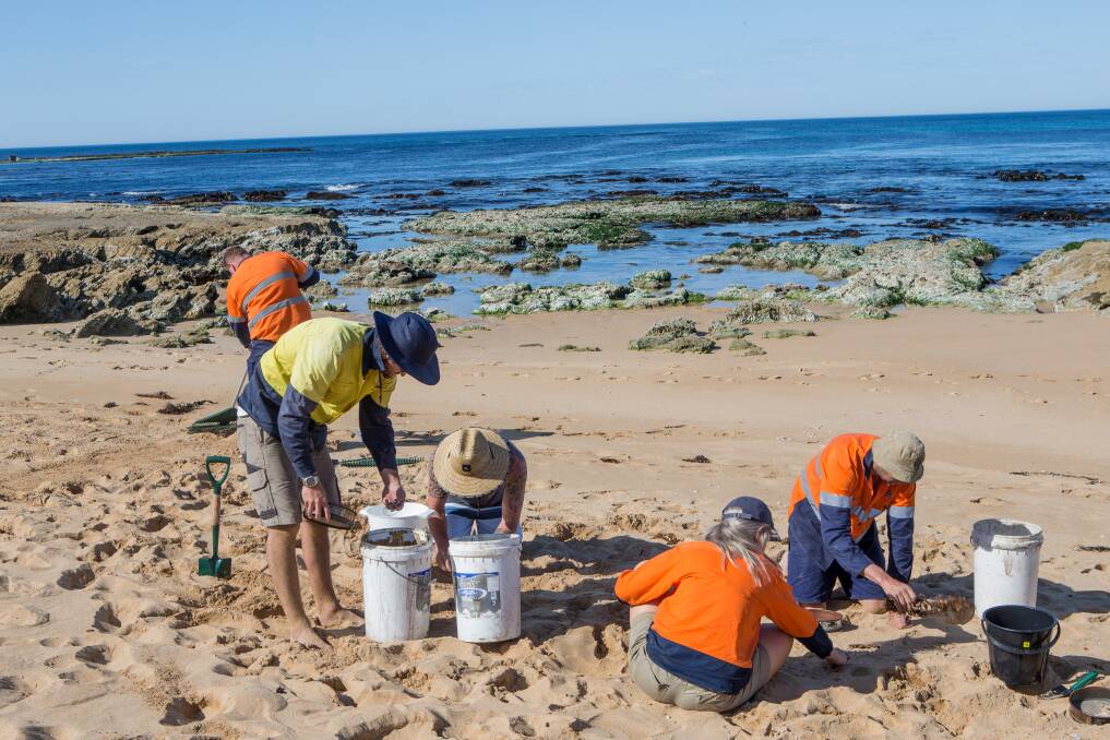 Beach: A Beach Clean will be held between Warrnambool's Levy's Beach and the Cutting from 8am to `12 noon on Saturday. Picture: Christine Ansorge.