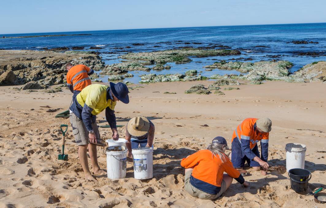 A group of volunteers spent time at Shelly beach on Tuesday morning cleaning thousands of plastic beads washed up onto the shore.  Picture: Christine Ansorge