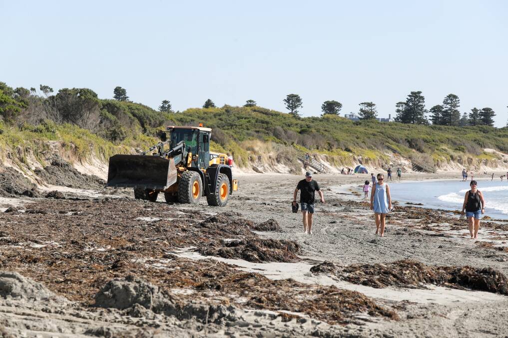 CLean up: A Warrnambool City Council earth mover starts to groom the beach near the Breakwater, pushing the seaweed aside for holiday makers on December 27. Picture: Rob Gunstone  