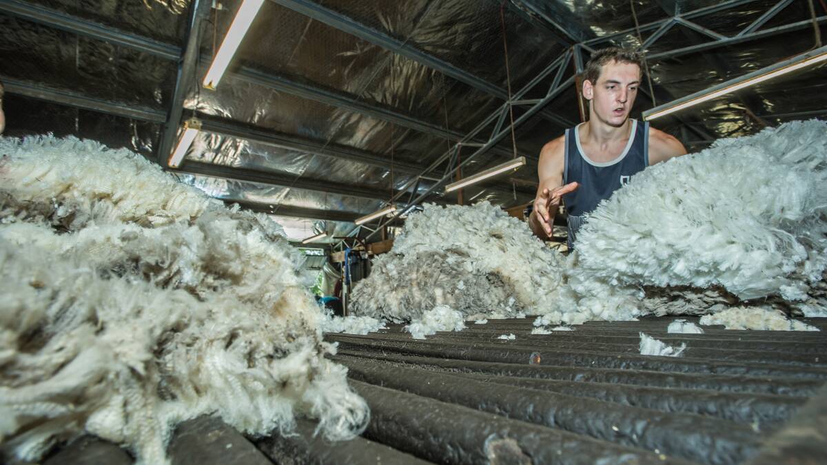 Diverse: The vote by wool producers throughout Australia to reduce their wool levy has drawn a mixed response from Western District growers.