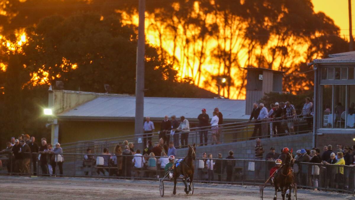 Sunset: Horses warm up around the track at the 2018 Terang Pacing Cup. Picture: Morgan Hancock