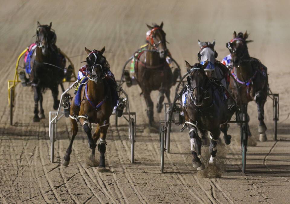 Strong field: A Terang Pacing Cup race in 2018. Picture: Morgan Hancock