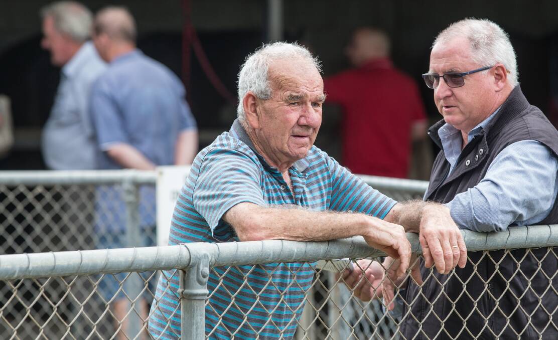 Merv McKenzie watches his horses in the mounting yard. Picture: Christine Ansorge